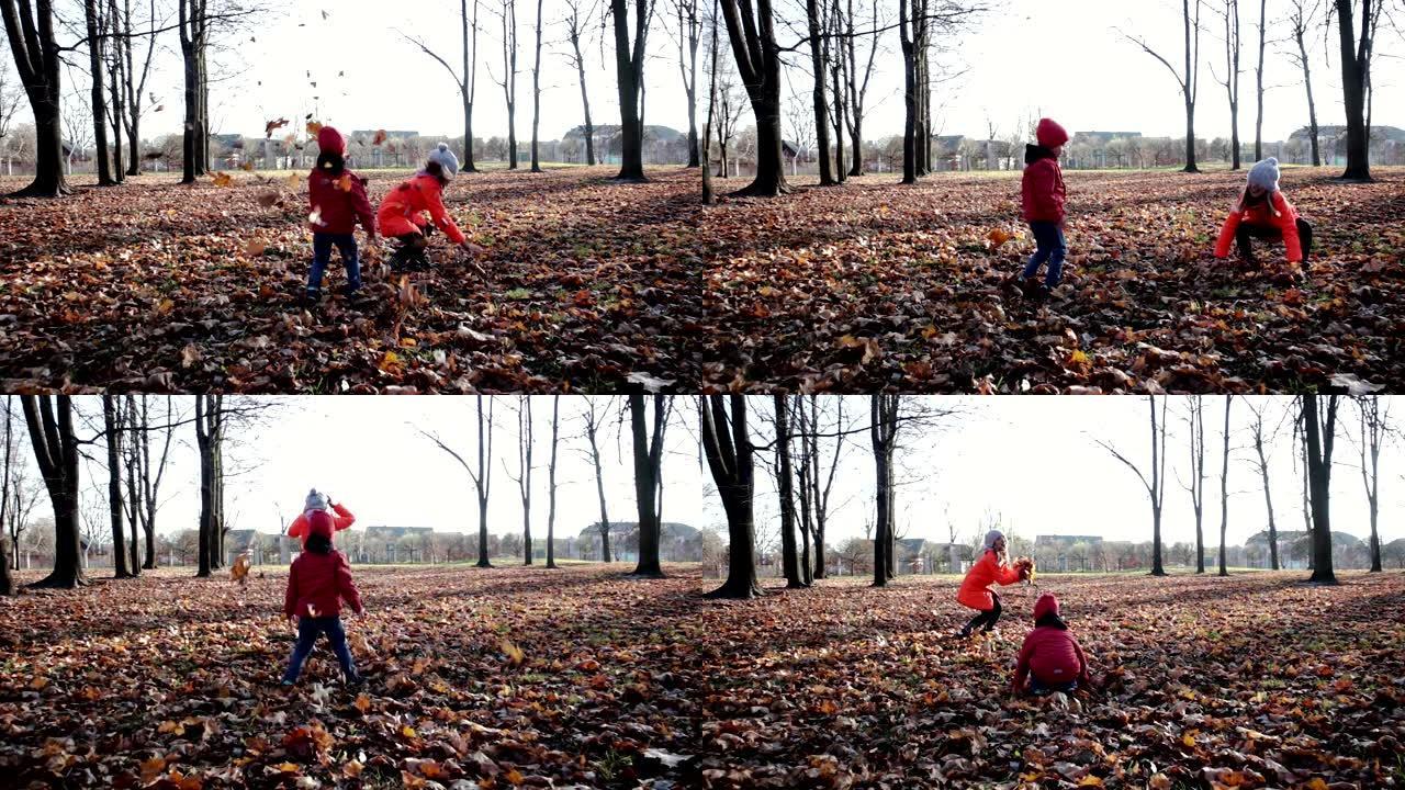 快乐，美丽的孩子玩秋叶。季节性户外活动，散步时的健康生活方式