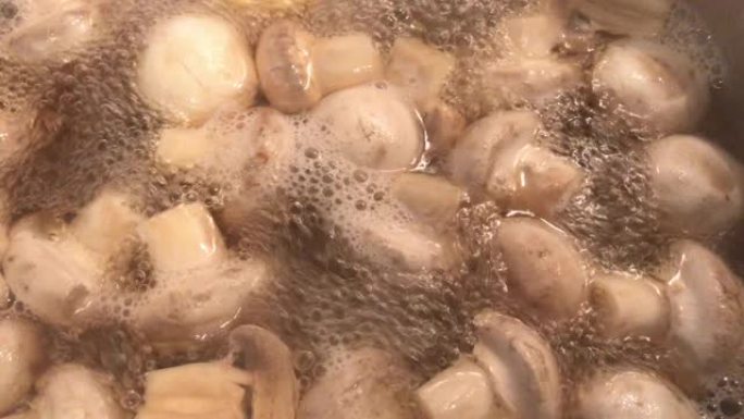 双孢蘑菇在沸水4K中的特写