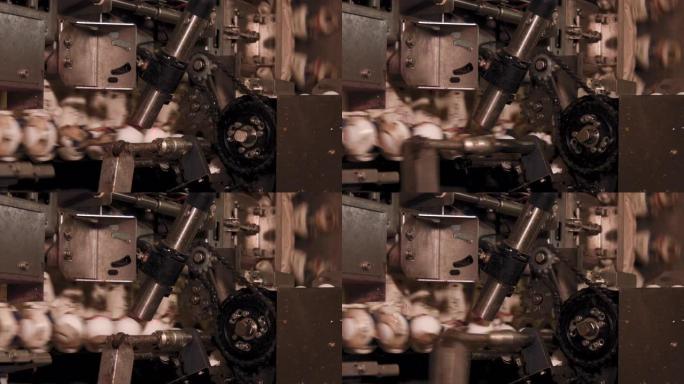 高速标记鸡蛋机械加工自动化机械包装