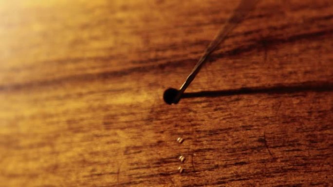 古董家具里无聊的木头虫子。