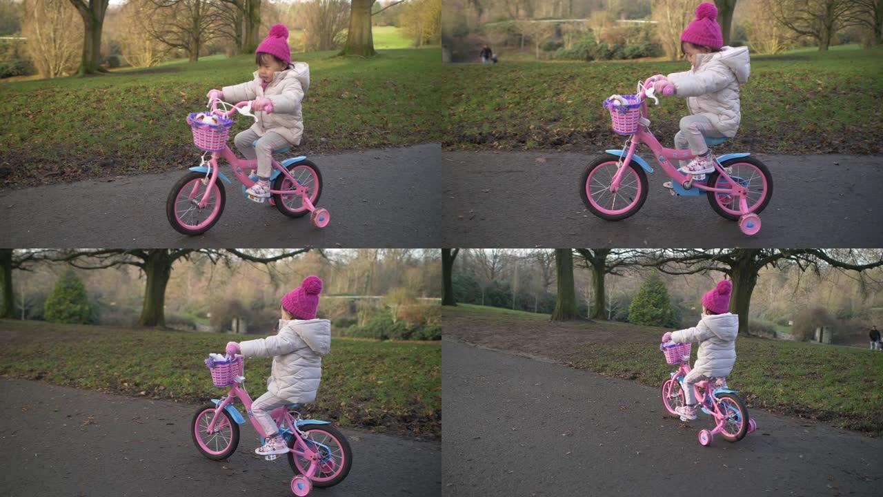 北爱尔兰冬季乡村公园的蹒跚学步的女孩骑自行车