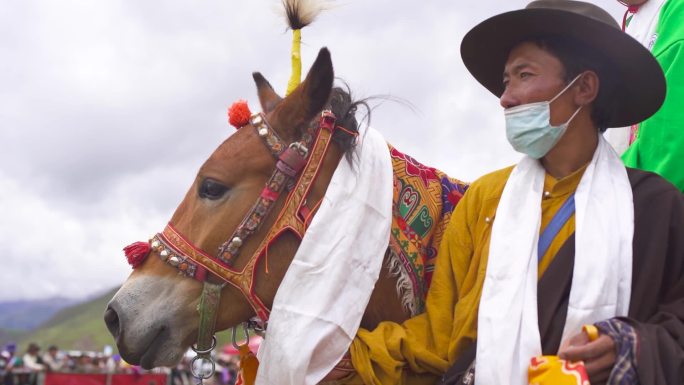草原 西藏羌塘 万马奔腾 蓝天白云