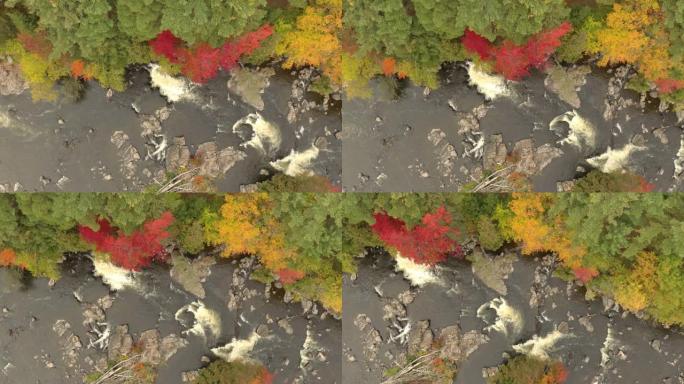 笔直的无人驾驶飞机拍摄了带有石制河床的秋天河