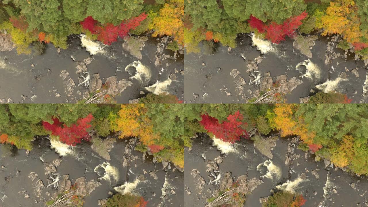 笔直的无人驾驶飞机拍摄了带有石制河床的秋天河