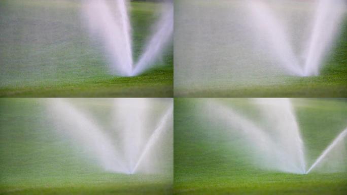 草洒水器的中等镜头将水溅到草坪上