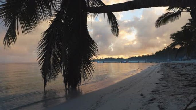 热带岛屿海滩和棕榈树上的日出。多米尼加共和国蓬塔卡纳。