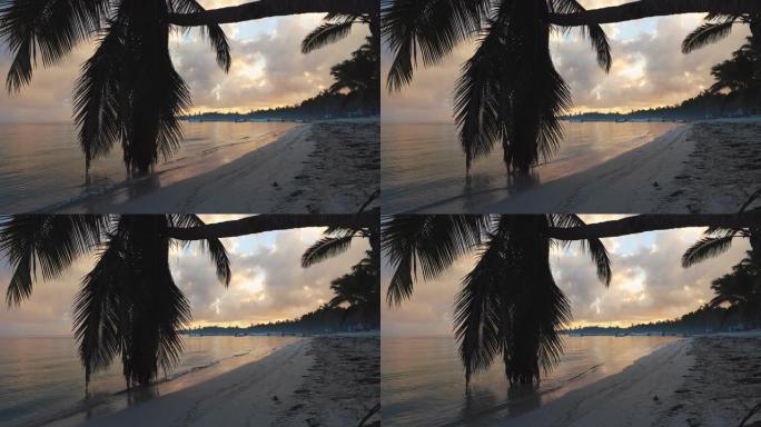 热带岛屿海滩和棕榈树上的日出。多米尼加共和国蓬塔卡纳。