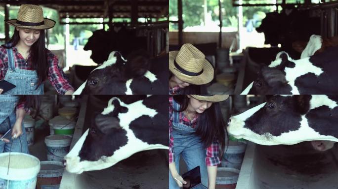 亚洲妇女农业和农业工业和畜牧业概念-年轻妇女或农民与平板电脑电脑和奶牛在奶牛农场的牛棚用奶牛挤奶机