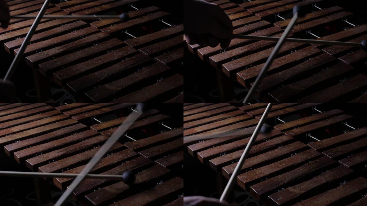 演奏木琴的音乐家艺术家视频素材敲击
