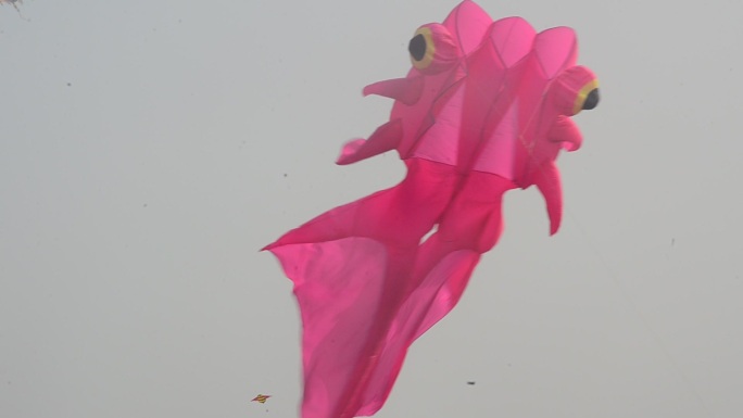 广西防城港城市沙滩上空的金鱼风筝