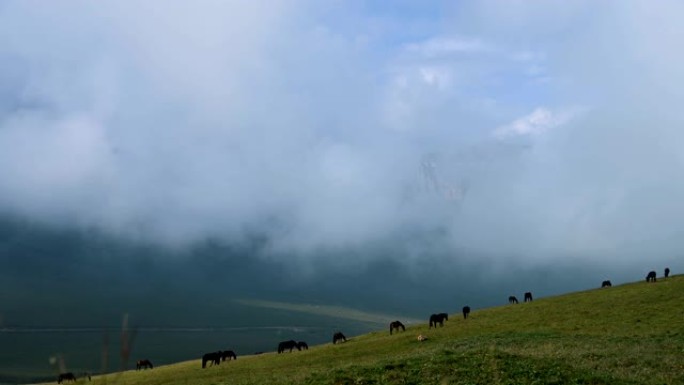 在低云下在山坡上放牧的马群的时间流逝，背景是岩石周期性地通过云层出现。