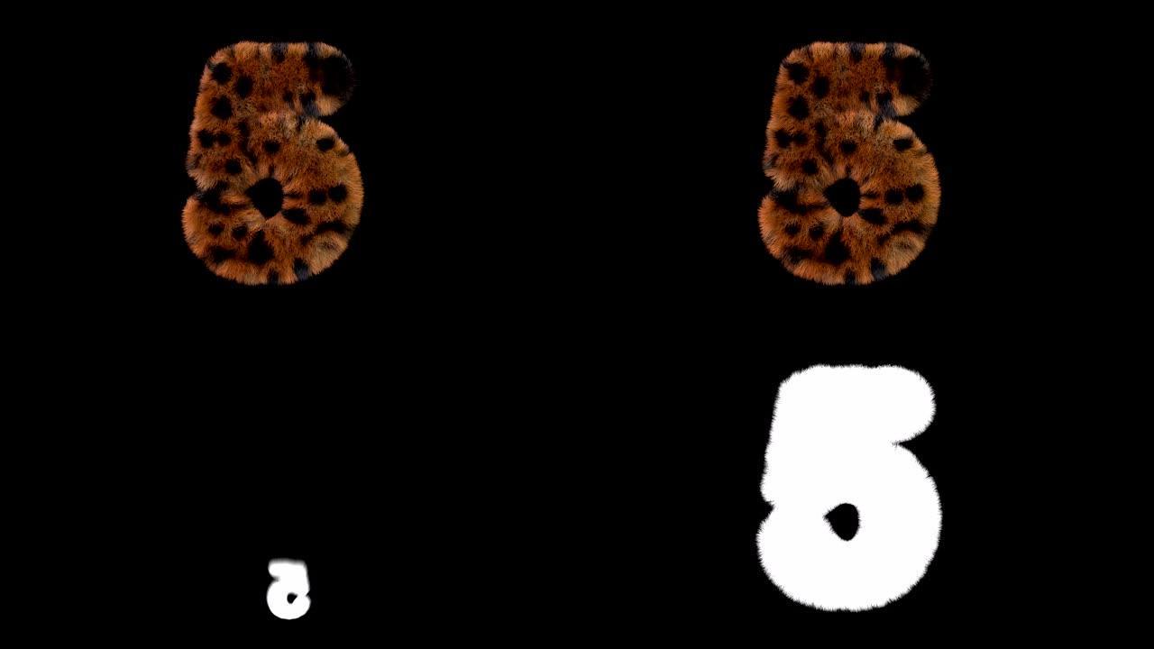 豹子毛茸茸的动画毛茸茸的字母5