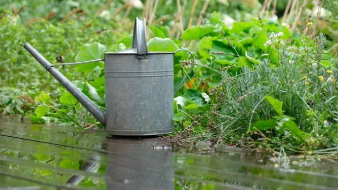 雨中花园中的老式金属喷壶