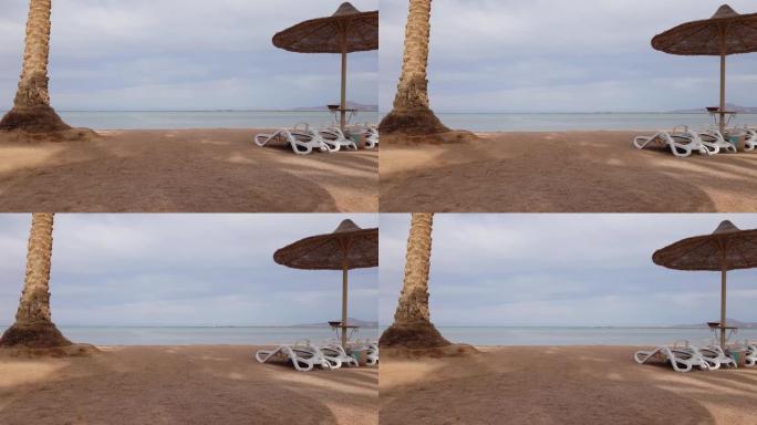棕榈树附近海边的躺椅。