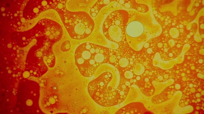 奇妙的气泡结构。科学实验，化学反应。混沌运动，气泡流动膨胀，油漆卷曲。迷幻液体光显示，水，油，染料，
