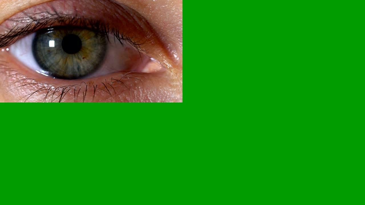将眼睛放大到绿色屏幕。