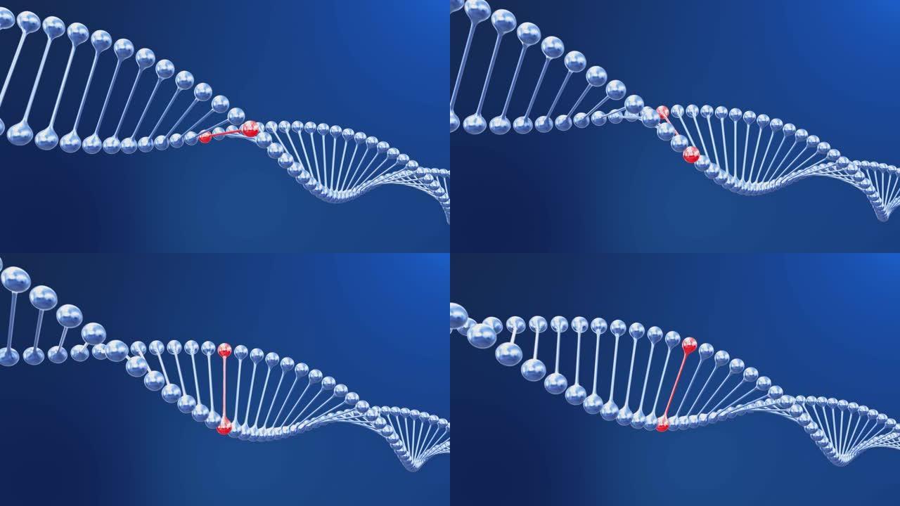 DNA分子股票视频