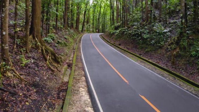 茂密的丛林森林中的沥青空狭窄道路。菲律宾薄荷岛人造森林