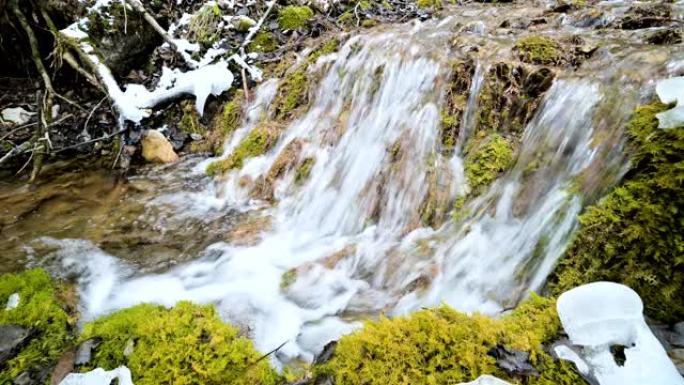 特写的冬季森林梯级溪流被绿色和石化的苔藓包围。山区水中矿物质含量高