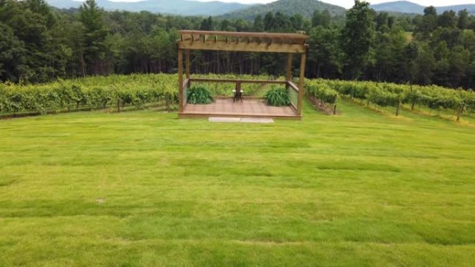 婚礼乔木凉棚结构 -- 葡萄园，后面有葡萄藤和山
