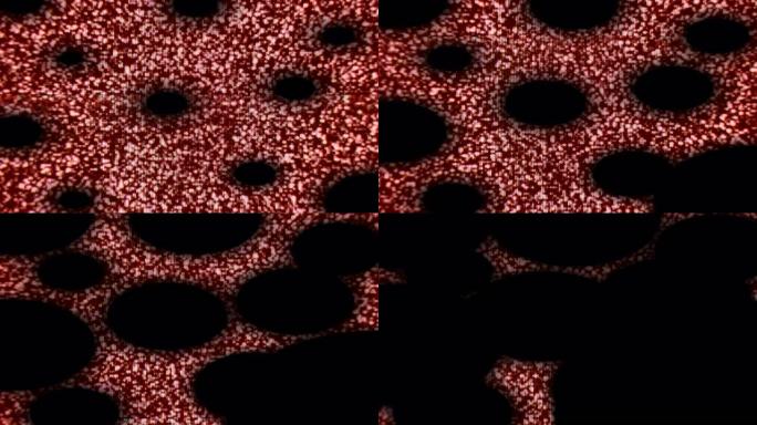 红细胞在显微镜下移动和振动。血细胞在人体内携带氧气，胚胎干细胞。细胞治疗和疾病治疗的研究，肿瘤学概念