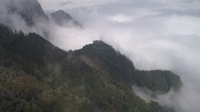 阿里山小樽原山观景台