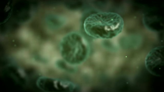 绿色疾病血细胞在医学变焦中流动在静脉或动脉中。3d渲染高清素材。医疗保健和医疗概念。