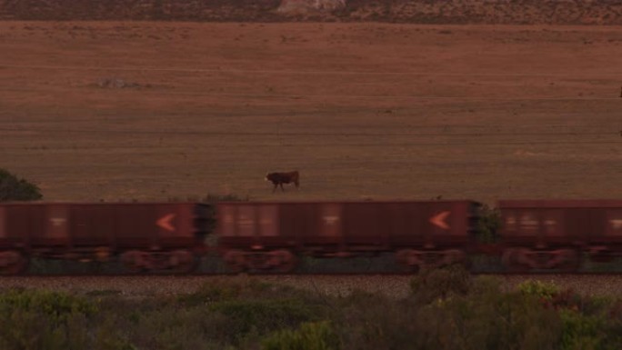 经过田野的铁路的火车生锈的货物