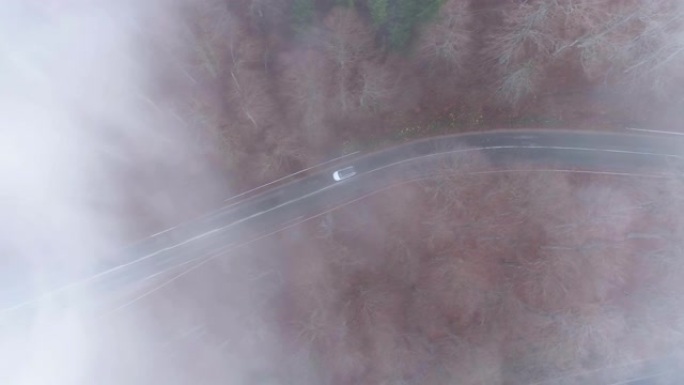 白色汽车缓慢驶过迷雾森林路，无人机景观