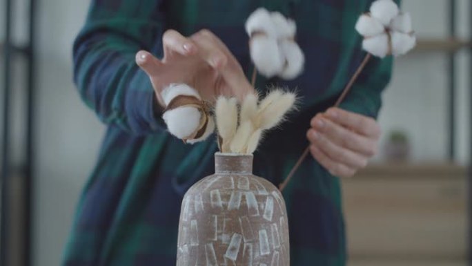 简约室内公寓中，女性双手在花瓶中组织棉花布。花瓶中的干燥植物。