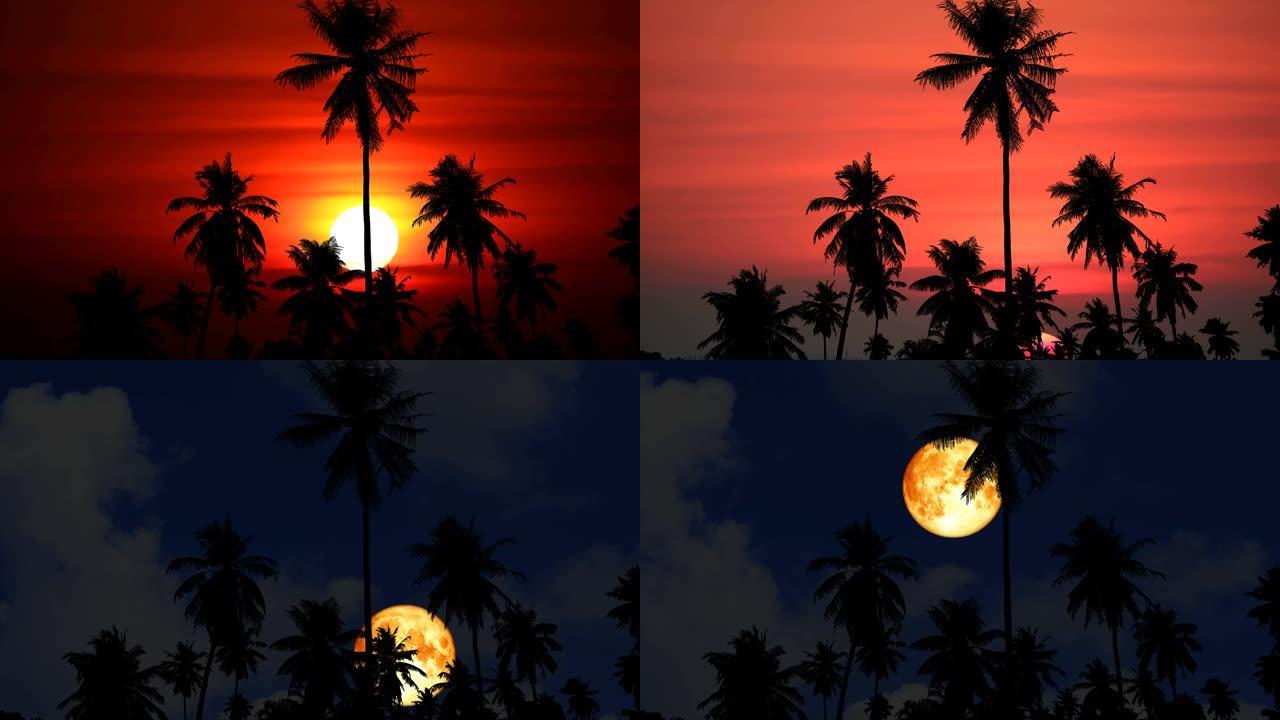 夕阳红的天空和血月升起回云和剪影田野中的椰子树