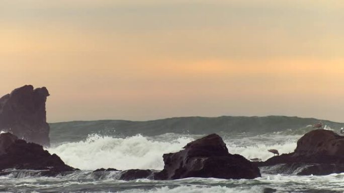 太平洋巨浪海浪巨浪海鸥