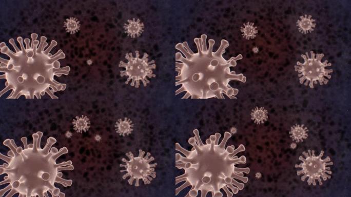 受感染的病毒细胞-冠状病毒概念 (称为新型冠状病毒肺炎，2019-nCoV，传染性非典型肺炎，MER