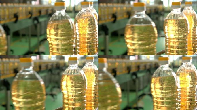 瓶子里的葵花籽油在生产线上移动。