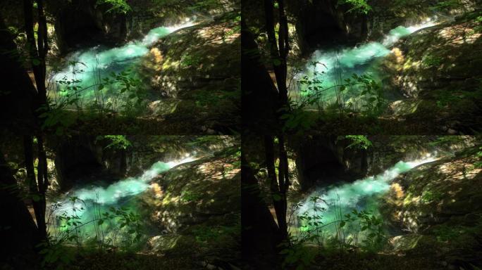 绿色森林中的瀑布 | 西泽山谷