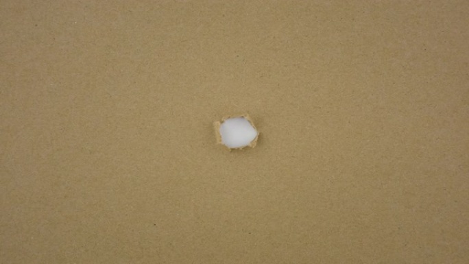 白色屏幕上撕裂的纸张。