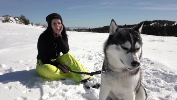 经过一些训练活动后，年轻的西伯利亚哈士奇在雪地里休息