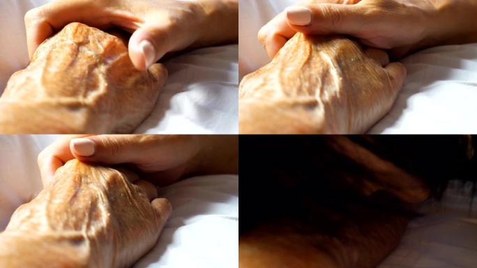 无法辨认的女人轻轻地抚摸着母亲的手，亲吻着母亲的手，表现出关怀或爱。女儿安慰躺在床上的年迈妈妈皱巴巴