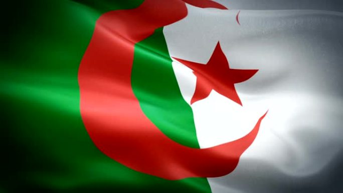 阿尔及利亚国旗运动循环视频在风中挥舞。现实的阿尔及利亚国旗背景。阿尔及利亚国旗循环特写1080p全高
