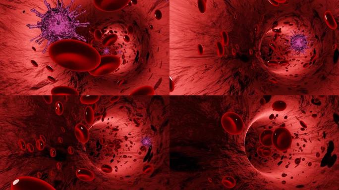 模拟病毒、细菌和动脉或血管中的红细胞