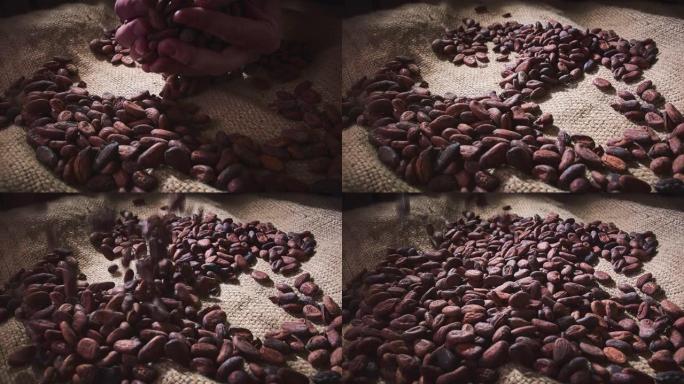 可可豆咖啡豆咖啡制作烘焙