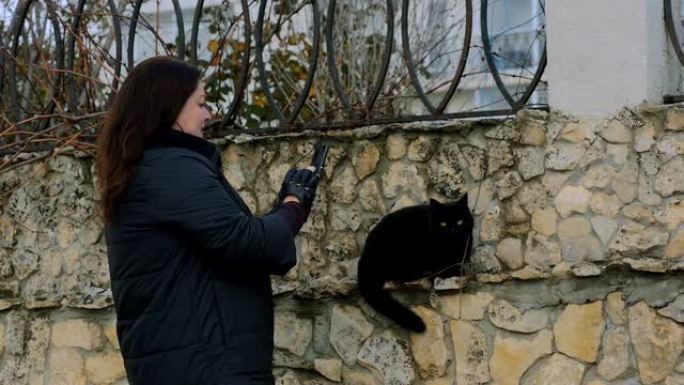 女人在坐在石头篱笆上的黑猫的电话上拍照