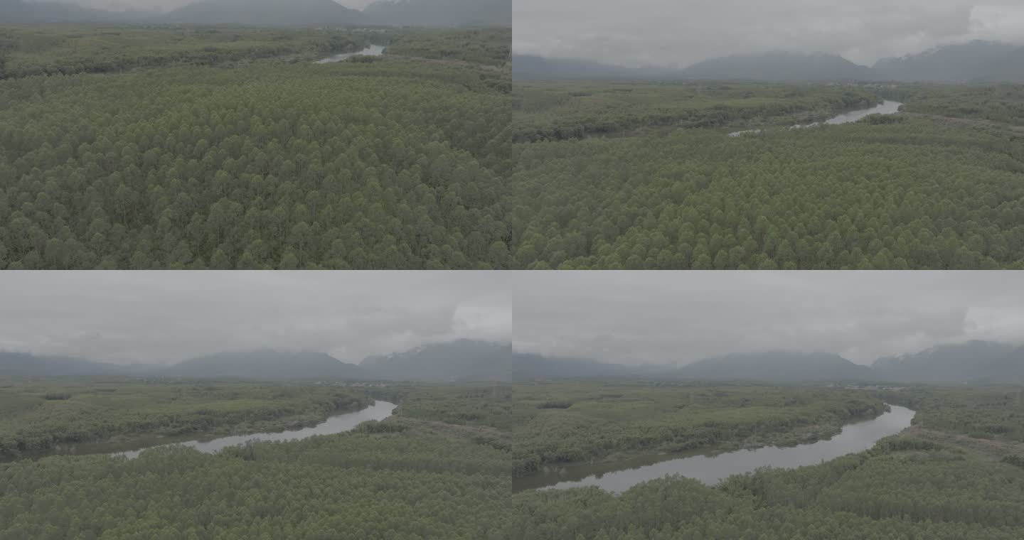 「4KDlog原片」韶关自然风景树林