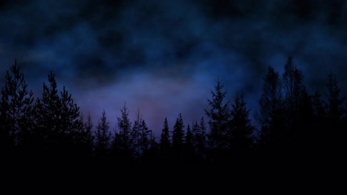 美丽明亮的星空之夜的森林轮廓，薄雾滚滚
