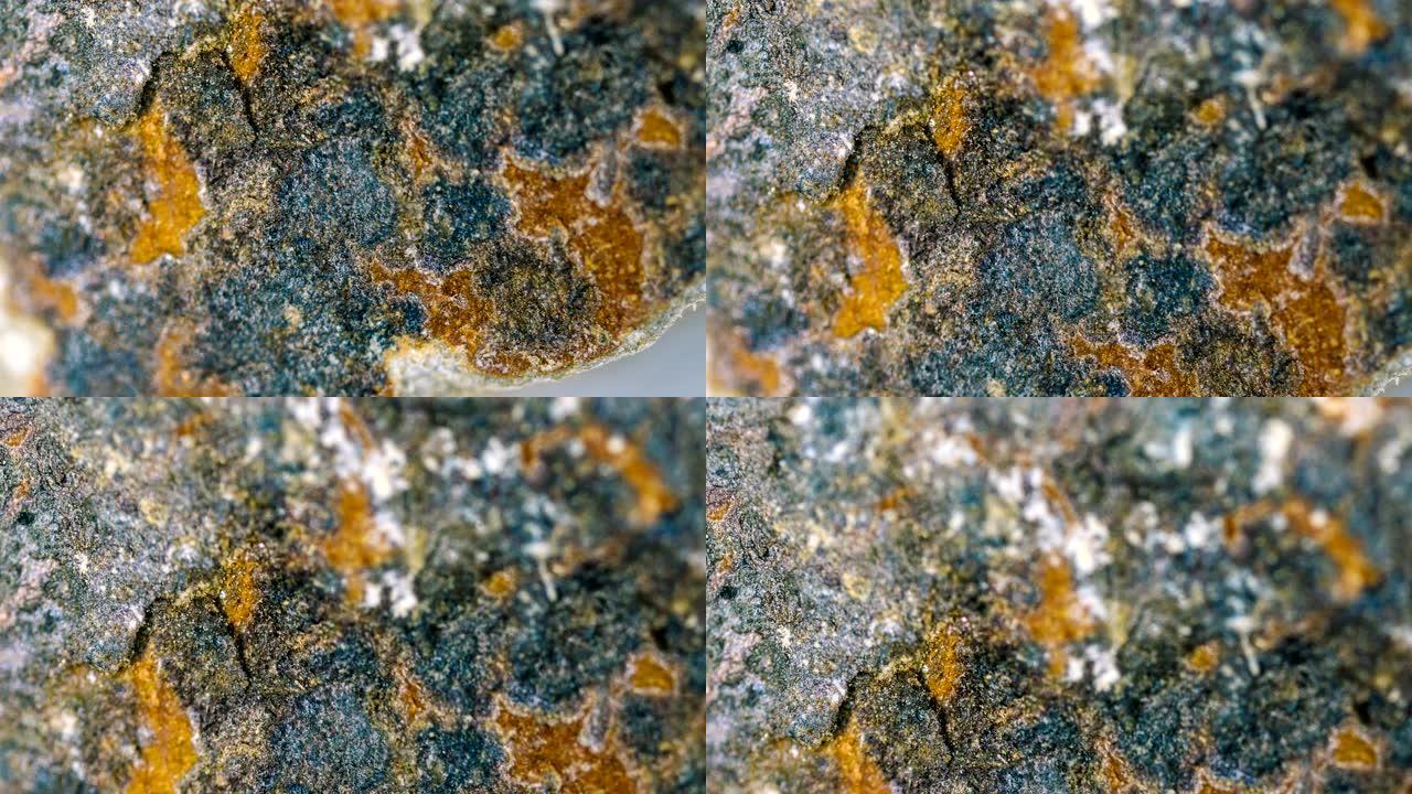 光学显微镜下的页岩矿物样品