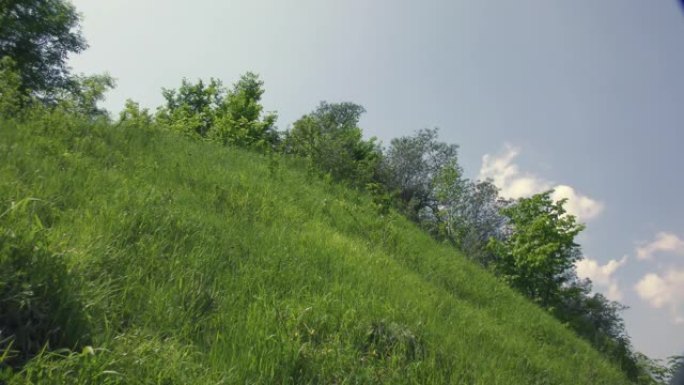 从山上可以看到春天 (夏天) 的城市全景