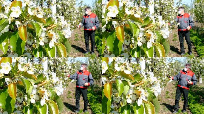 喷洒苹果园春季耕种特写镜头田间地头劳作