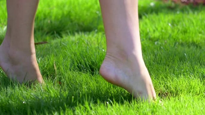 女人的脚在夏天的绿草上行走慢镜头180帧/秒