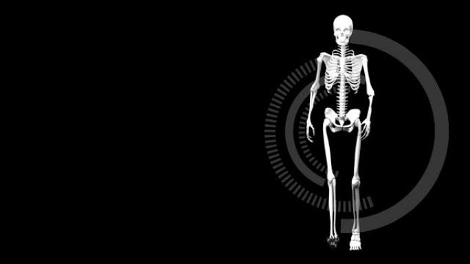 人体骨骼在辐射中行走