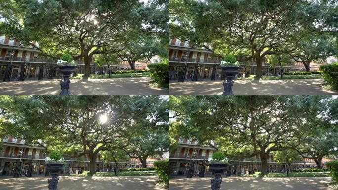 杰克逊广场树与法国区建筑